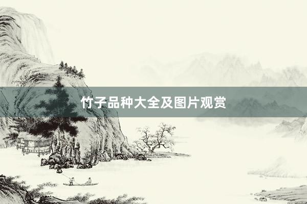 竹子品种大全及图片观赏